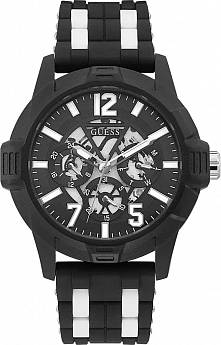 GW0428G1