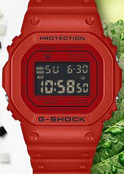 DW-5600RRB-4