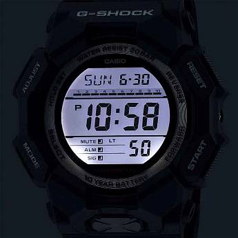 GD-010-1