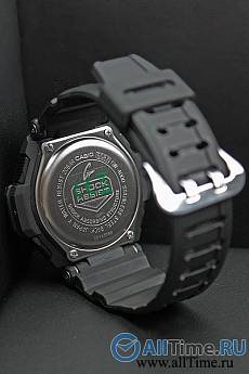 GW-4000-1A