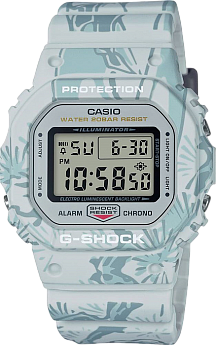 DW-5600SLG-7DR