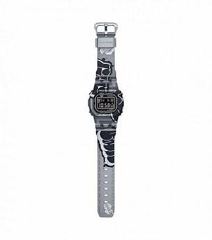 DW-5000SS-1