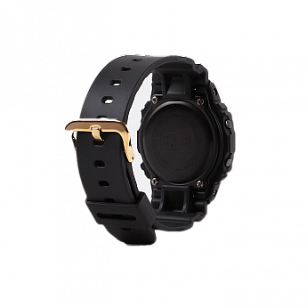 DW-5600NE-1ER