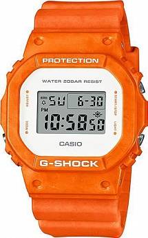 DW-5600WS-4