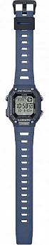 WS-B1000-2A
