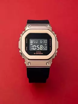 GM-S5600PG-1ER