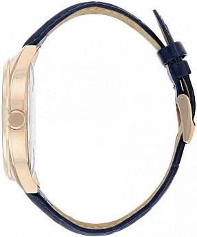 BI5093-01L