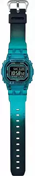 DW-B5600G-2