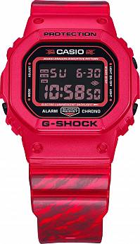 DW-5600JAH24-4
