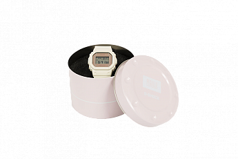DW-5600PGW-7E