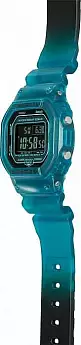 DW-B5600G-2