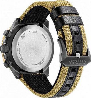 JY8074-11X