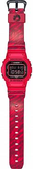 DW-5600JAH24-4
