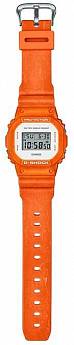 DW-5600WS-4