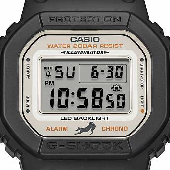 DW-5600SHB-1