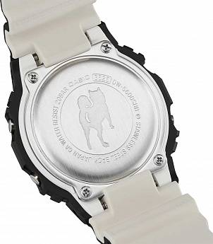 DW-5600SHB-1